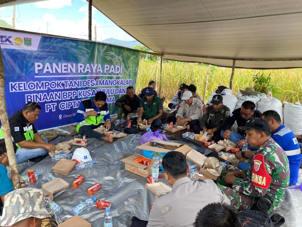 “Petani mengikuti panen raya padi di Desa Mangkalapi 2026”